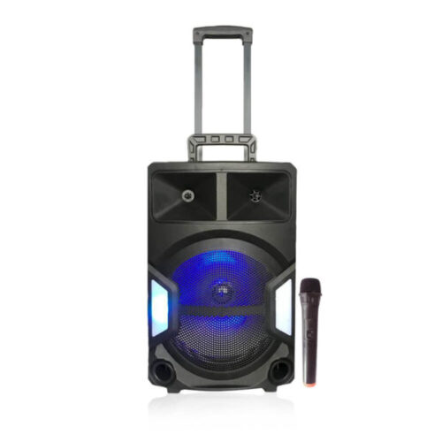 Speaker-DWQ-2138-12-mic-1-600x600-1.jpg